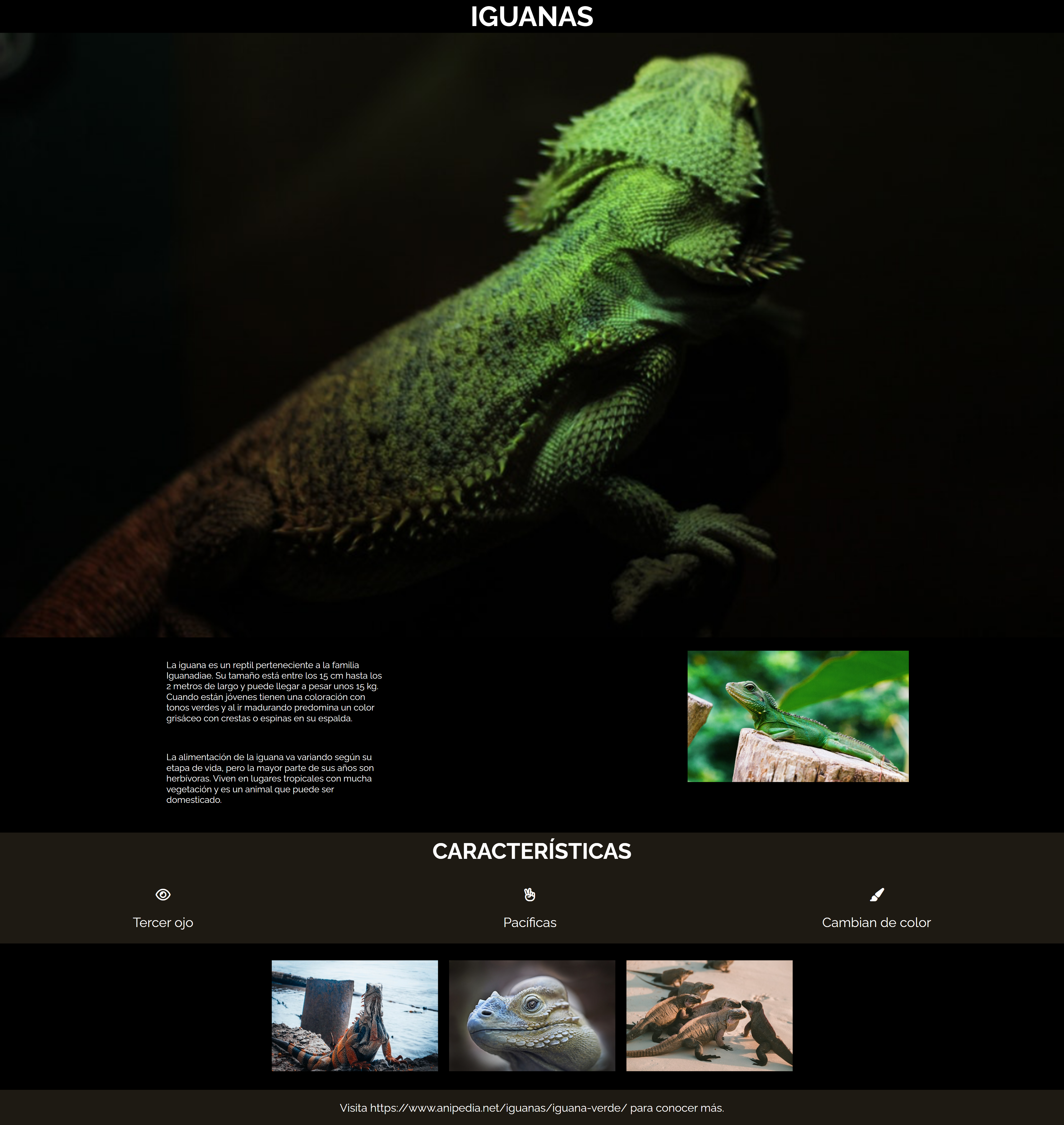 Pantallazo proyecto 3